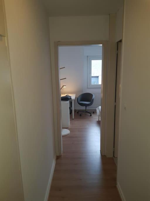 Studio De La Petite France Apartment Strasbourg Exterior foto